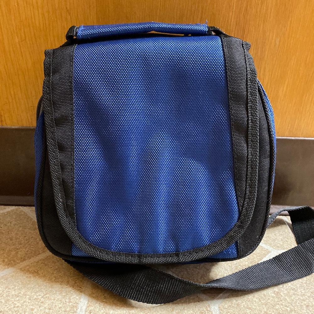 Nintendo DS Carrier and Organizer